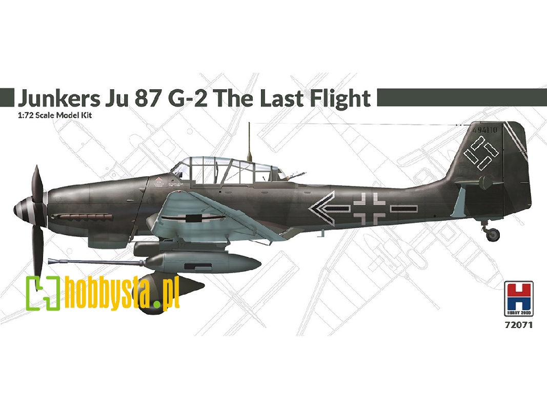 Junkers Ju 87 G-2 The Last Flight - image 1