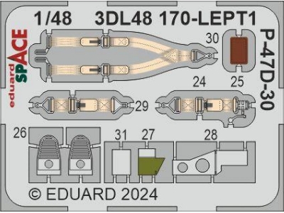 P-47D-30 SPACE 1/48 - MINIART - image 2