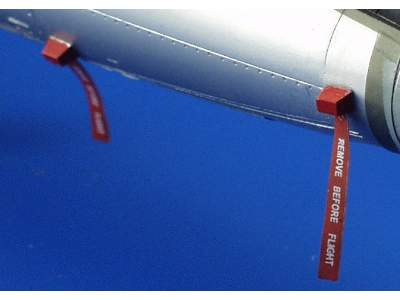 Remove Before Flight 1/48 - image 2