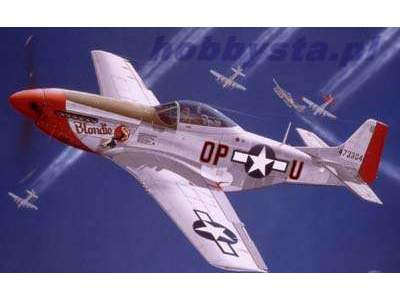 P-51 D Mustang - image 1
