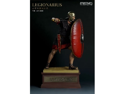 The Roman Legionary Ready For Battle - image 1