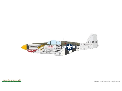 OVERLORD: D-DAY MUSTANGS  / P-51B MUSTANG  DUAL COMBO 1/48 - image 10