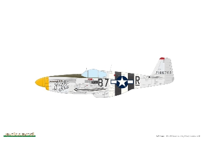 OVERLORD: D-DAY MUSTANGS  / P-51B MUSTANG  DUAL COMBO 1/48 - image 11