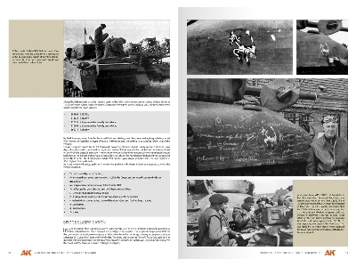 Vehicles Of The Polish 1st Armoured Division - Camouflage Profile Guide (English) - image 3