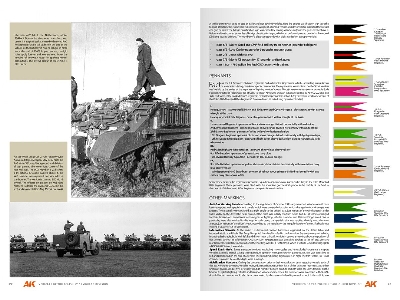 Vehicles Of The Polish 1st Armoured Division - Camouflage Profile Guide (English) - image 4