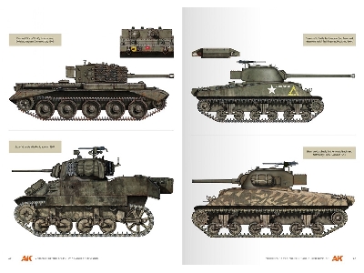 Vehicles Of The Polish 1st Armoured Division - Camouflage Profile Guide (English) - image 7