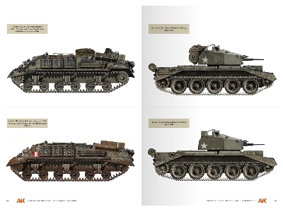 Vehicles Of The Polish 1st Armoured Division - Camouflage Profile Guide (English) - image 8