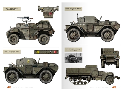 Vehicles Of The Polish 1st Armoured Division - Camouflage Profile Guide (English) - image 9