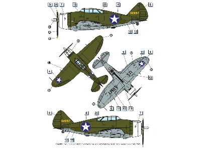 Republic P-43 Lancer (Reconnaissance) - image 5