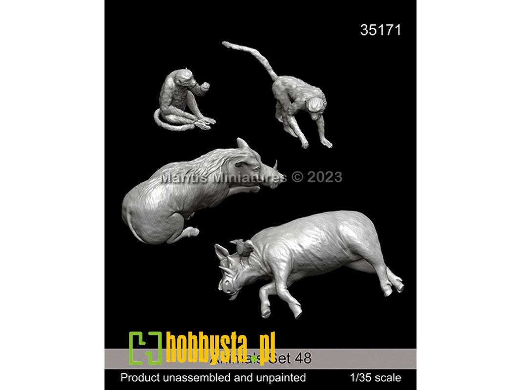Animals Set 48 - image 1 Animals Set 48 - image 1