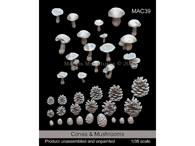 Cones And Mushrooms - image 1