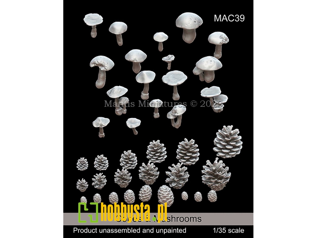 Cones And Mushrooms - image 1