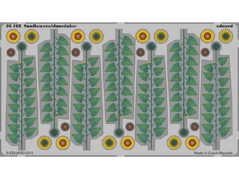 Sunflowers - colour 1/35 - image 1