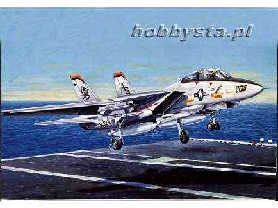 F-14A Tomcat - image 1