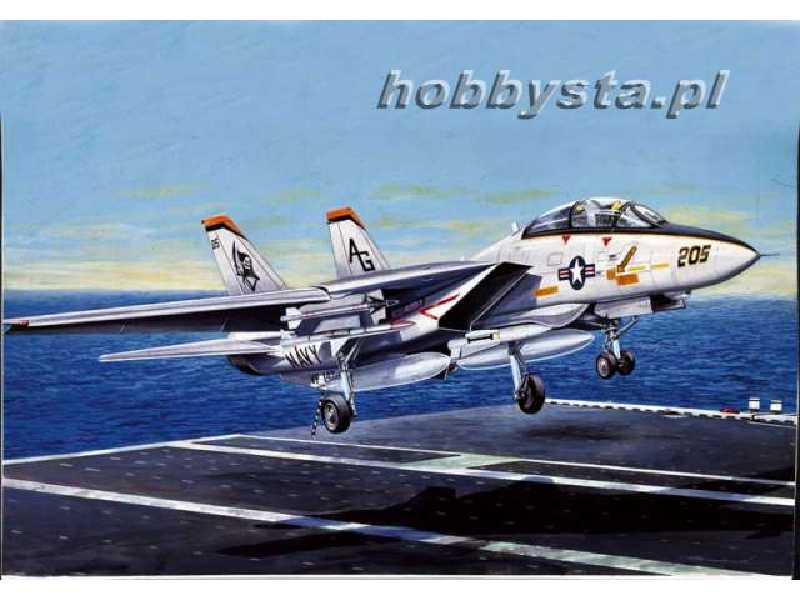 F-14A Tomcat - image 1