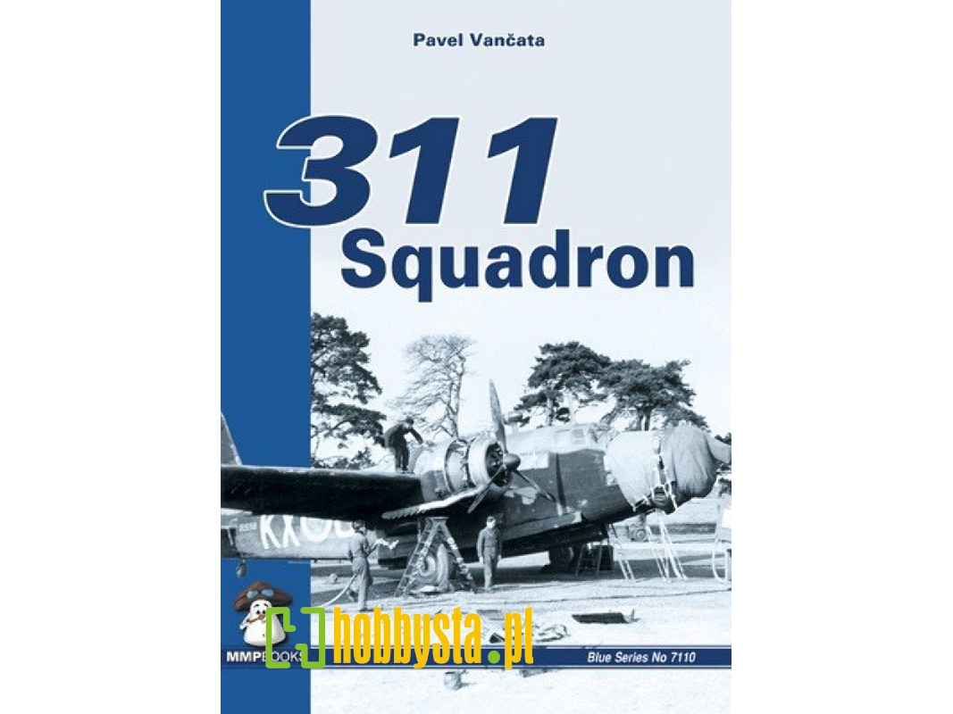 311 Squadron - image 1