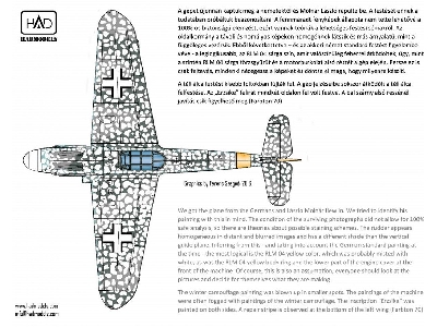 Messerschmitt Bf 109 G-6 "erzsike" 66 - image 3