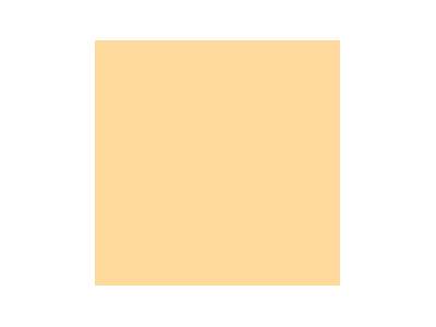  A28 FS 33613 Light Tan - paint - image 1