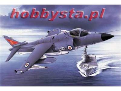 BAe Sea Harrier FRS-1 - image 1