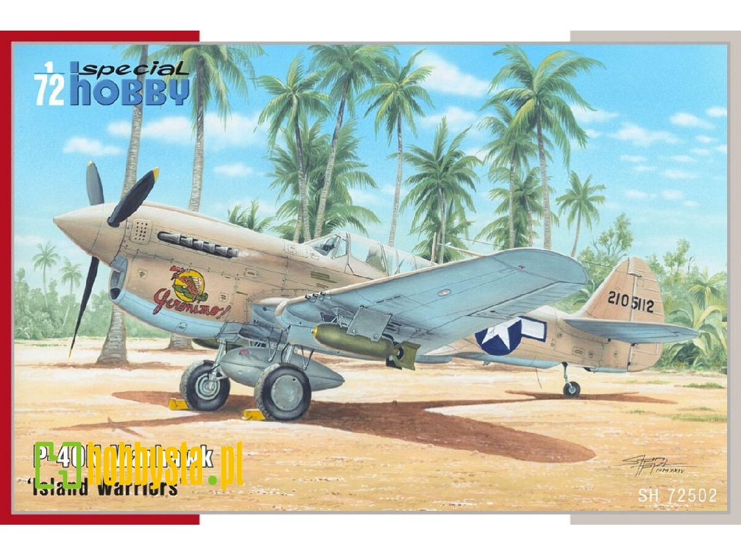 P-40n Warhawk 'island Warriors' - image 1 P-40n Warhawk 'island Warriors' - image 1