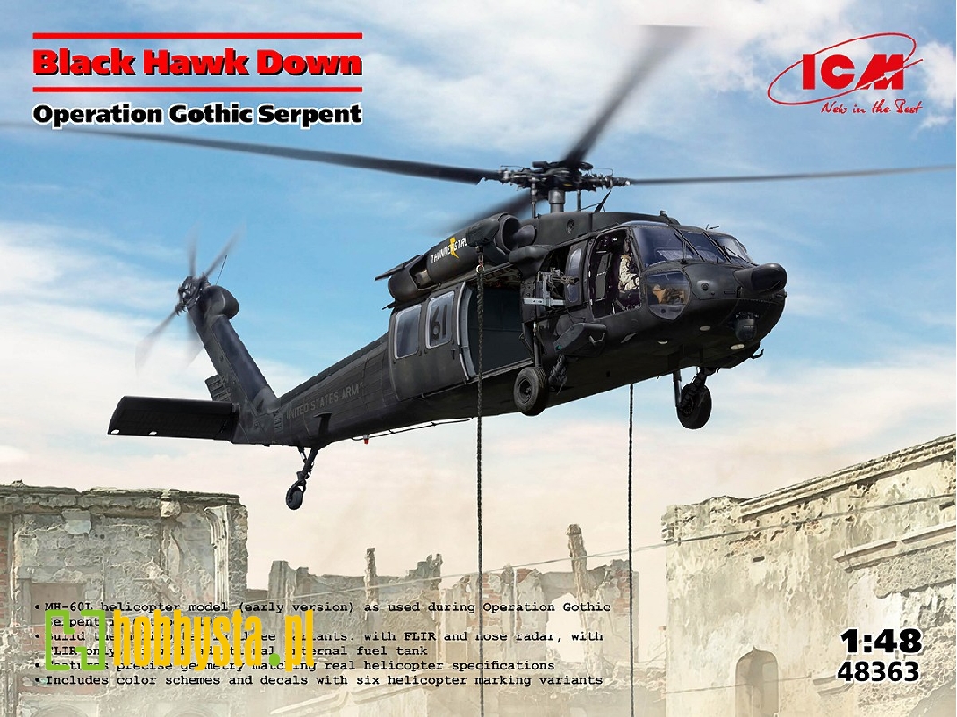 Black Hawk Down - image 1
