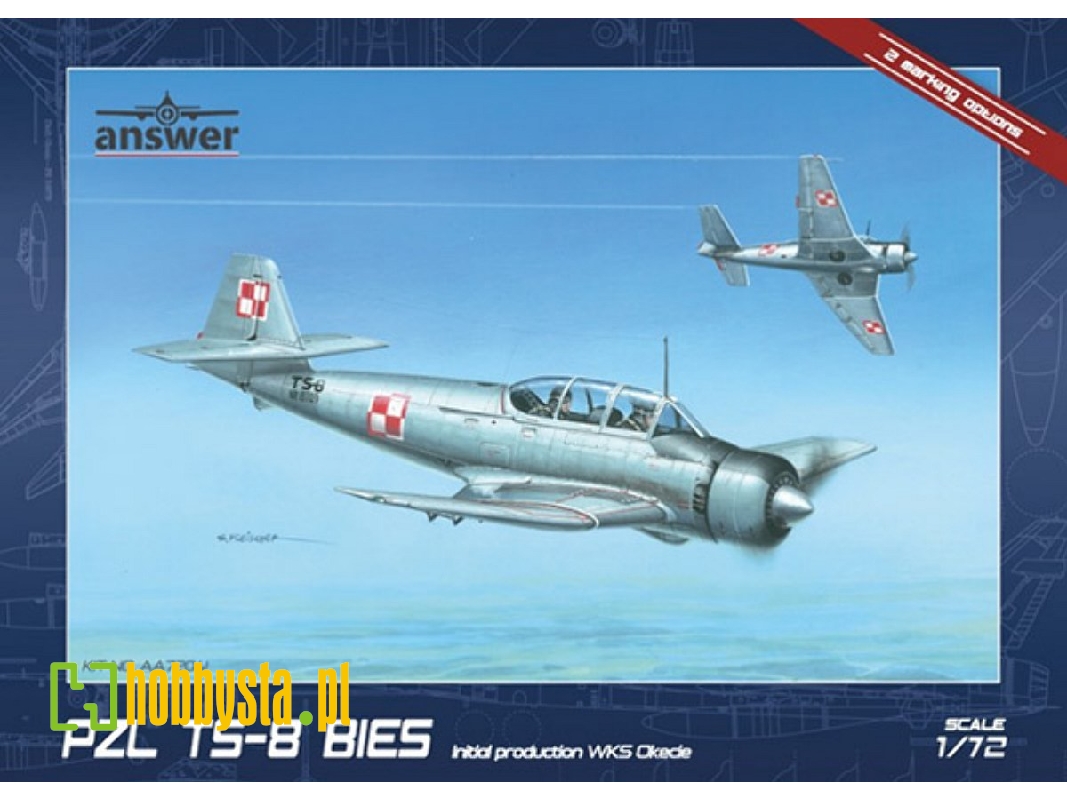 Pzl Ts-8 Bies Bi Initial Production Wsk Okęcie - image 1 Pzl Ts-8 Bies Bi Initial Production Wsk Okęcie - image 1