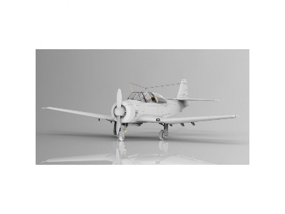 Pzl Ts-8 Bies Bii - image 2