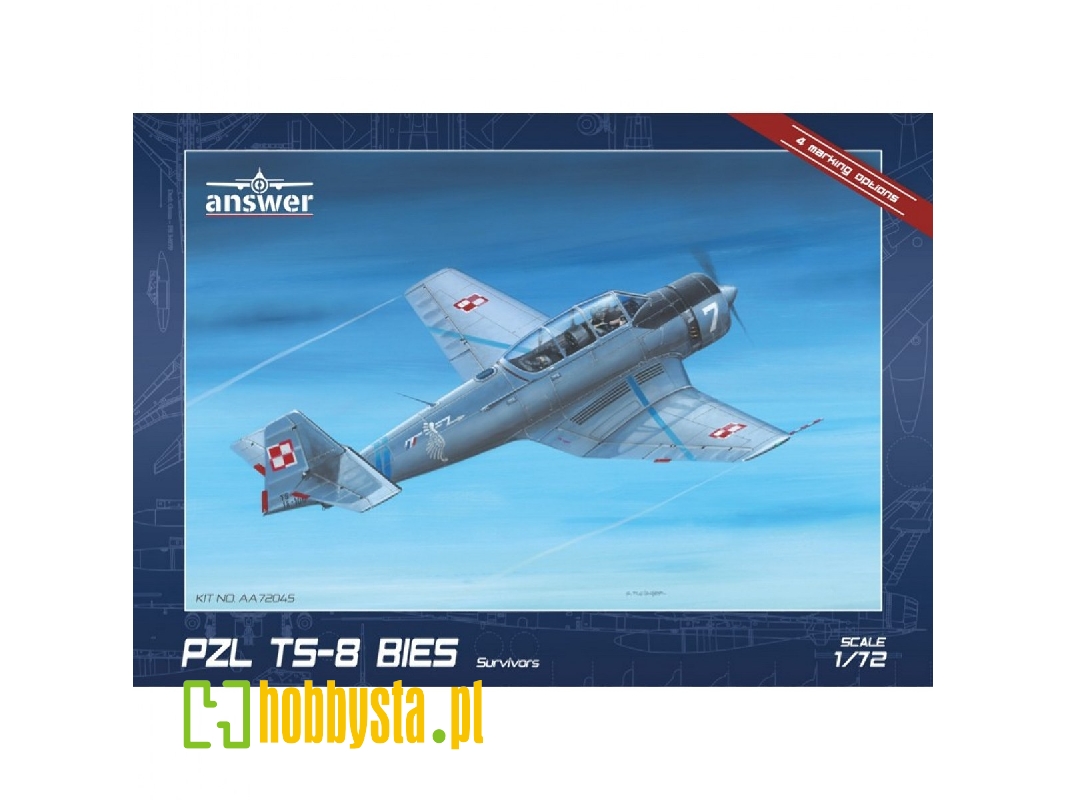 Pzl Ts-8 Survivors - image 1 Pzl Ts-8 Survivors - image 1