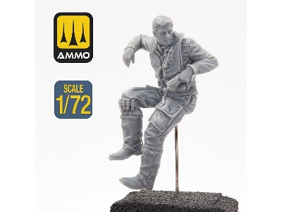 Wwii German Pilot - image 4