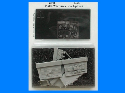 P-40E Warhawk cockpit set - Hasegawa - image 1
