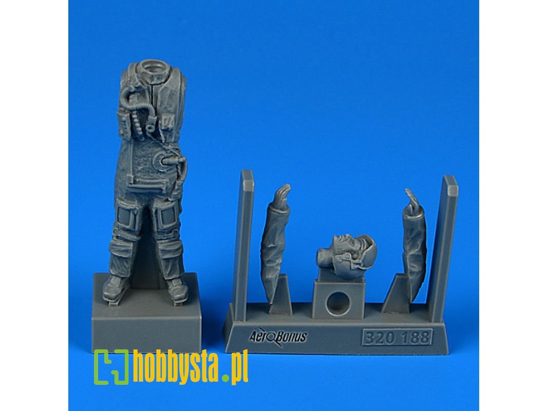 R.A.F. Fighter Pilot (Falkland War) - image 1 R.A.F. Fighter Pilot (Falkland War) - image 1