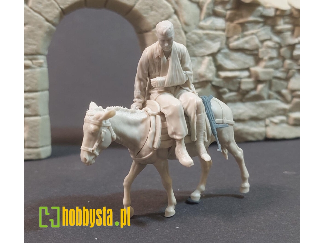 Wounded Fallschirmjager On A Donkey - image 1 Wounded Fallschirmjager On A Donkey - image 1