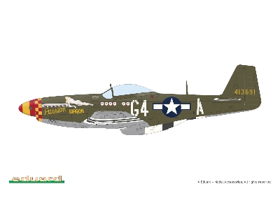 P-51D-5 Mustang 1/72 - image 10