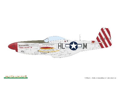 P-51D-5 Mustang 1/72 - image 13