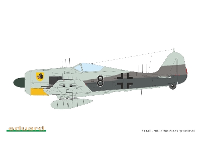 Fw 190A-6 1/48 - image 19