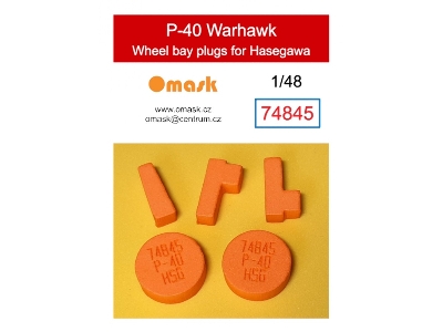 P-40 Warhawk Wheel Bay Plugs (For Hasegawa) - image 1