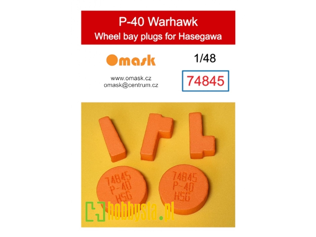 P-40 Warhawk Wheel Bay Plugs (For Hasegawa) - image 1