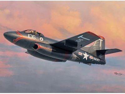 Douglas F3d-2 Skyknight Special Edition - image 1