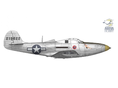 P-39 Airacobra Reconnaissance - image 3
