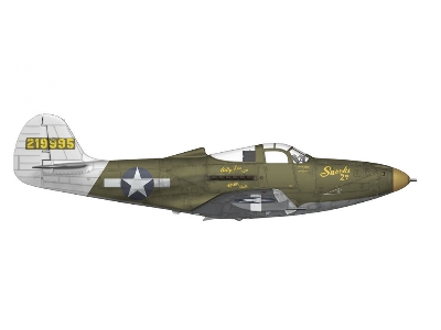 P-39 Airacobra Reconnaissance - image 4