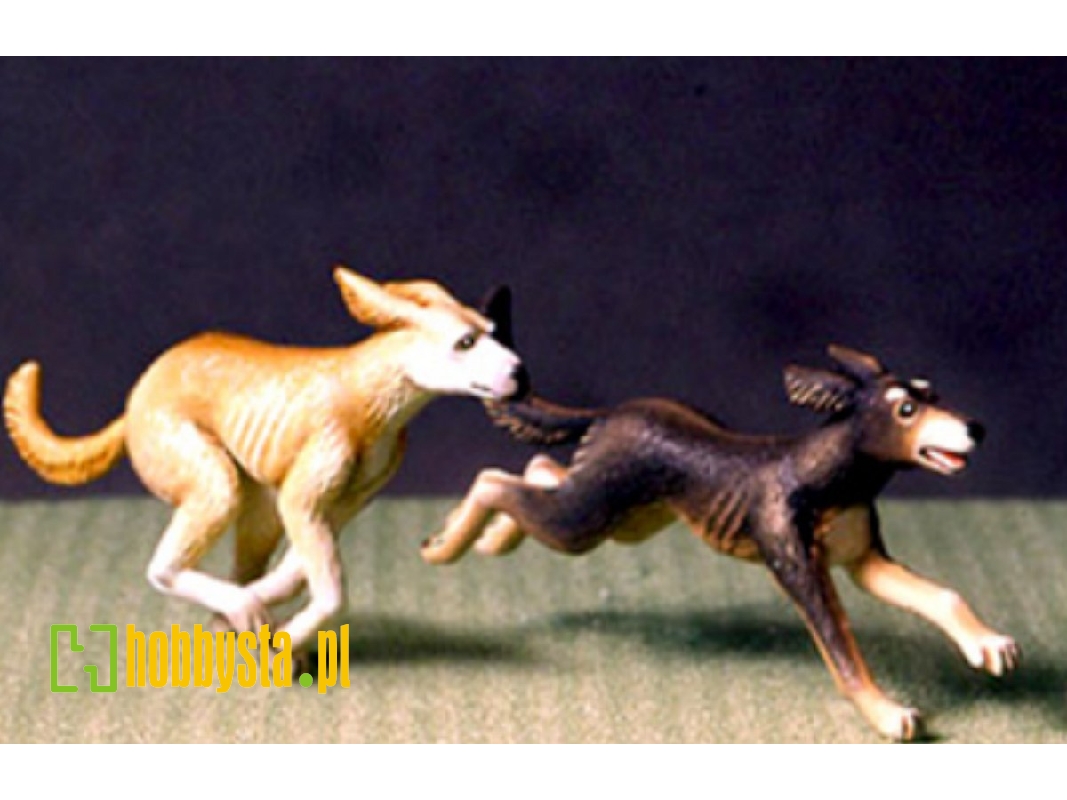 Running Hound - image 1 Running Hound - image 1
