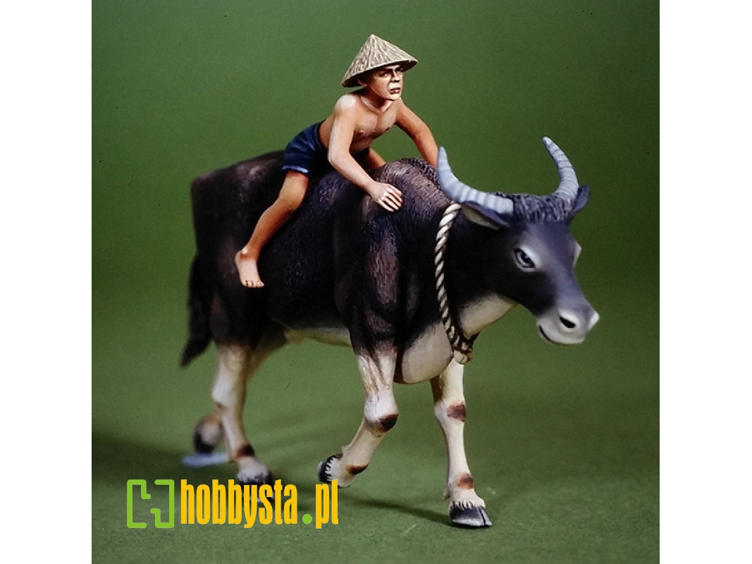 Water Buffalo & Boy - image 1 Water Buffalo & Boy - image 1