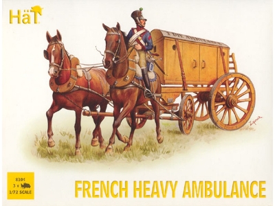 French Heavy Ambulance - image 1