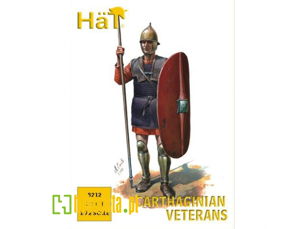 Carthaginian Veteran Spear - image 1 Carthaginian Veteran Spear - image 1