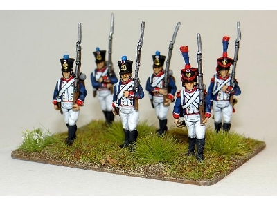 Napoleonic 1815 French Line Infantry Marching - image 4