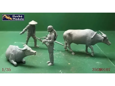 60'-70's Farming In Vietnam - image 2