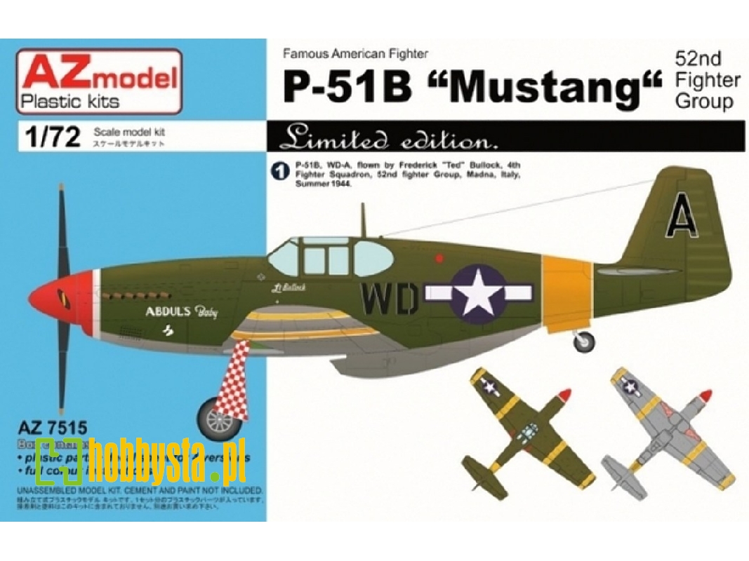 P-51b Mustang 52' Fg - image 1