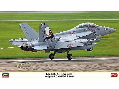Ea-18g Growler 'vaq-134 Garudas 2024' - image 1