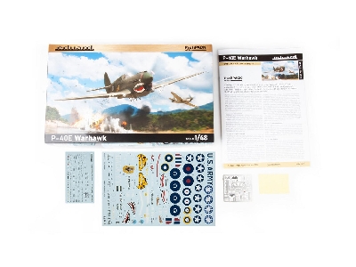 P-40E Warhawk 1/48 - image 3