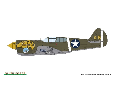 P-40E Warhawk 1/48 - image 15